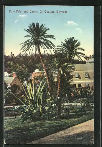 AK St. Georges / Bermuda, Date Palm and Cactus