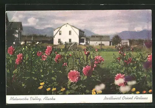 AK Matanuska Valley, Blick vom Blumenfeld auf ein Haus