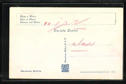 AK Barcelona, Exposicion Internacional 1929, Agua y Flores