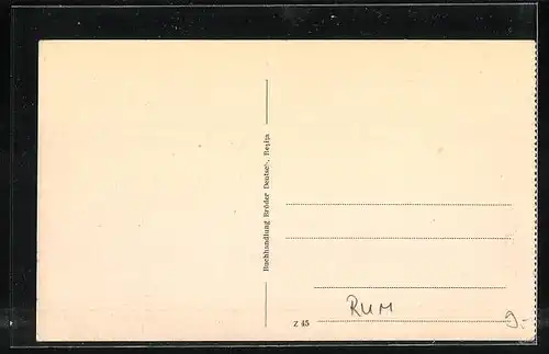 AK Resita, Totalansicht der Eisenwerke