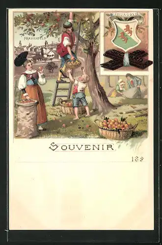 Lithographie Frauenfeld, Wappen Thurgovie, Apfelernte
