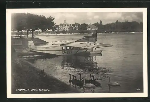 AK Konstanz / Bodensee, Wasserflugzeug am Ufer und wilde Schwäne