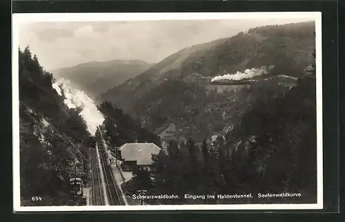 AK Triberg, Schwarzwaldbahn Eingang Haldentunnel Seelenwaldkurve