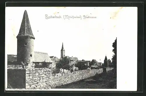 AK Eschenbach / Mittelfranken, Stadtmauer