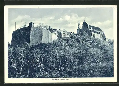 AK Mansfeld, Blick auf das Schloss