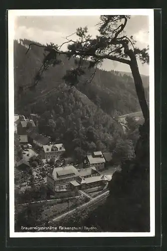 AK Falkenstein / Bayern, Brauereigaststätte aus der Vogelschau