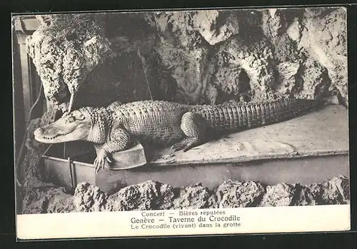 AK Geneve, Taverne du Crocodile, le Crocodile dans la grotte
