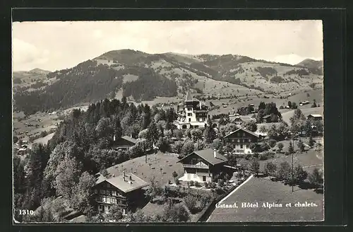 AK Gstaad, Hôtel Alpina et chalets