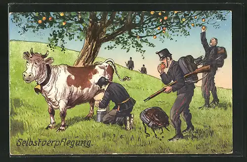 AK Selbstverpflegung, Schweizer Soldaten in Uniformen melken eine Kuh und pflücken Äpfel