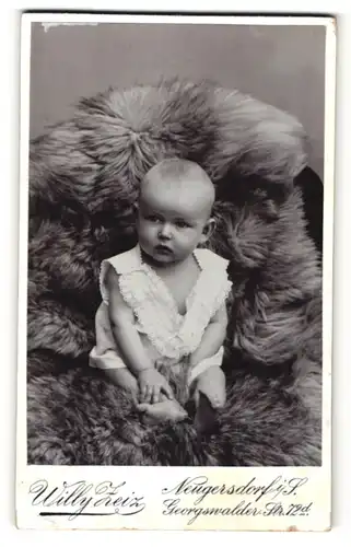 Fotografie Willy Zeiz, Neugersdorf i/S., Baby auf Pelz sitzend