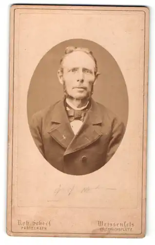 Fotografie Robert Scherf, Weissenfels, Mann im Anzug mit sehr magerem Gesicht und langen Kotletten
