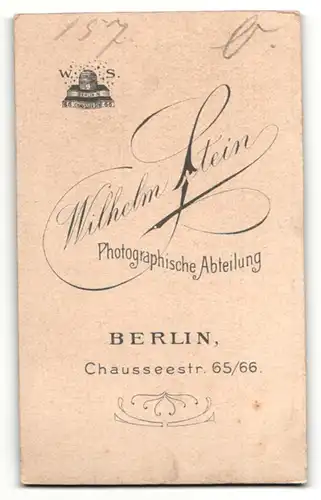 Fotografie Wilhelm Stein, Berlin-N, Portrait junge Dame mit zusammengebundenem Haar