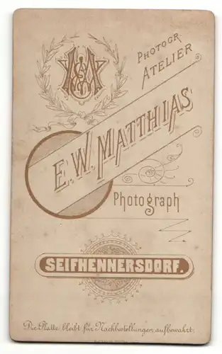 Fotografie E. W. Matthias, Seifhennersdorf, Portrait halbwüchsiger Knabe in Anzug