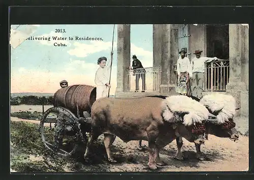 AK Cuba, Delivering Water to Residences, Büffel ziehen Karren