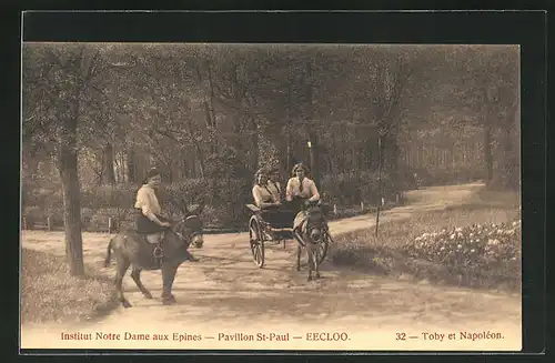 AK Eecloo, Institut Notre Dame aux Epines, Pavillon St-Paul, Toby et Napoleon, Esel mit Kutsche und Damensattel