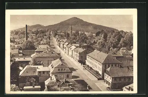 AK Bor u Ceske Lipy, Teilansicht auf Strasse mit Häuser und Berg.