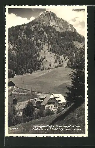 AK Zederhaus, Alpengasthof u. Pension Haller, Blick von Anhöhe mit Berg