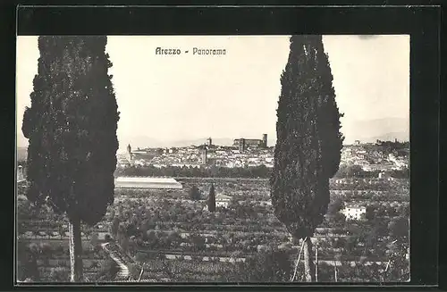 AK Arezzo, Panorama