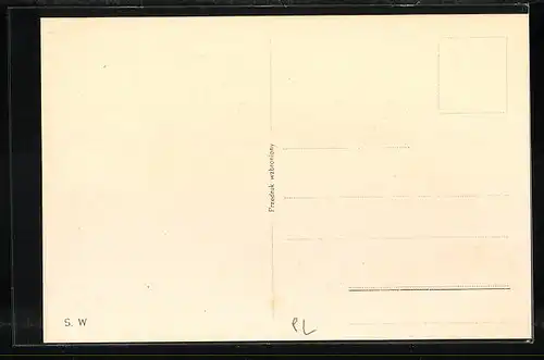 AK Warschau-Warszawa, Schloss & Zygmunt-Denkmal, Karmelittenkirche, Gesamtansicht-Zolibosch