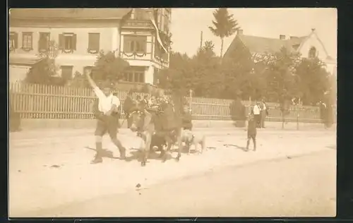 AK Gmunden, Almabtrieb durch die Ortschaft