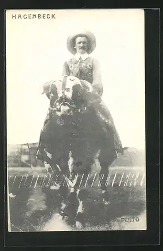 AK Zürich-Altstetten, Hagenbeck-Schau 1914, Mann sitzt auf einem Stier