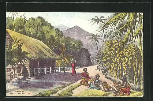 AK Scene in a Cocoa Plantation, Arbeiter bei der Kakaoernte