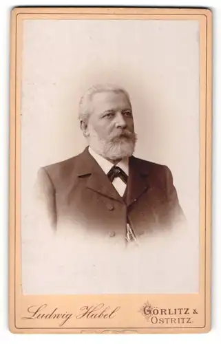 Fotografie Ludwig Habel, Görlitz & Ostritz, Portrait betagter Herr mit Bart