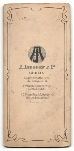 Fotografie A. Jandorf & Co., Berlin, Portrait Dame mit Hochsteckfrisur