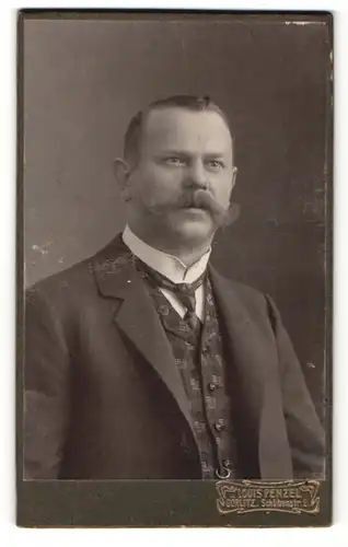 Fotografie Louis Penzel, Görlitz, Portrait bürgerlicher Herr im Anzug mit Krawatte und Schnauzbart