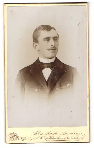 Fotografie Albin Meiche, Annaberg, Portrait charmanter Herr im Anzug mit Fliege u. Zwirbelbart