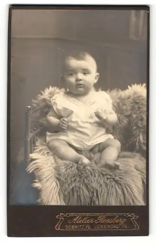 Fotografie Atelier Rossberg, Sebnitz i / S., Lobendau i / B., Portrait niedliches Baby im weissen Hemd auf Fell sitzend