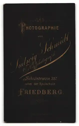 Fotografie Ludwig Schmidt, Friedberg, Portrait Herr mit Bart