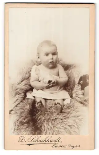 Fotografie D. Schuchhardt, Giessen, Portrait Säugling in Leibchen