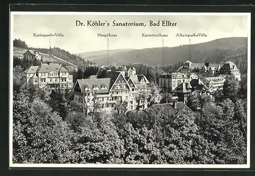 AK Bad Elster, Dr. Köhler`s Sanatorium, Kaiserpark Villa, Haupthaus