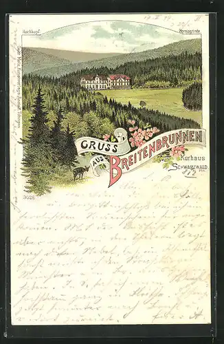 Lithographie Sasbachwalden, Hotel-Kurhaus Breitenbrunnen mit Hornisgrinde