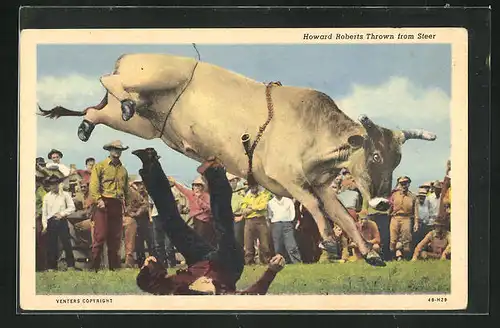 AK Steer Riding, Howard Roberts thrown from steer, Cowboy wird beim Rodeo von einem Stier abgeworfen