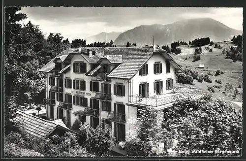AK Bürgenstock, Blick zum Hotel Waldheim