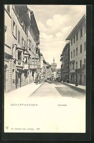 AK Schaffhausen, Teilansicht mit Vorstadt