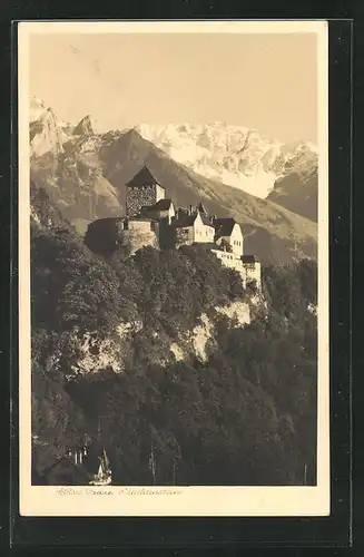 AK Vaduz, Schloss mit Gebirgspanorama