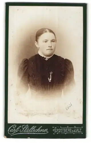 Fotografie Carl Stallechner, Trostberg a. d. Alz, Portrait Fräulein mit zusammengebundenem Haar