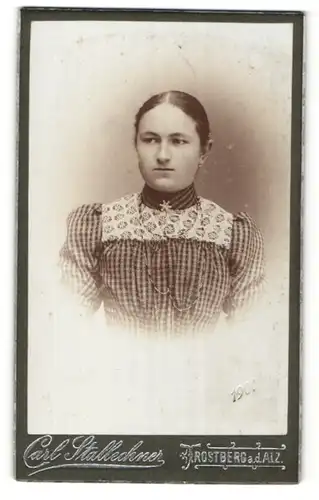 Fotografie Carl Stallechner, Trostberg a/Alz, Portrait Fräulein mit zusammengebundenem Haar