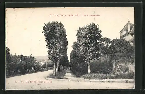 AK Coulanges-la-Vineuse, Les Promenades