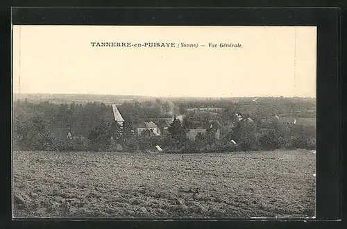AK Tannerre-en-Puisaye, Totalansicht von Feld auf Häuser und Landschaft