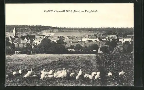 AK Thorigny-sur-Oreuse, Totalansicht von Feld auf Kirche und Häuser