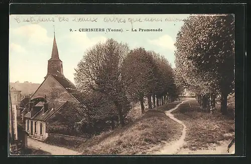 AK Cerisiers, La Promenade