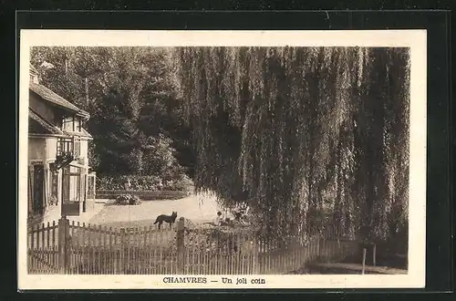 AK Chamvres, Blick auf Haus mit Trauerweide und Hund im Garten
