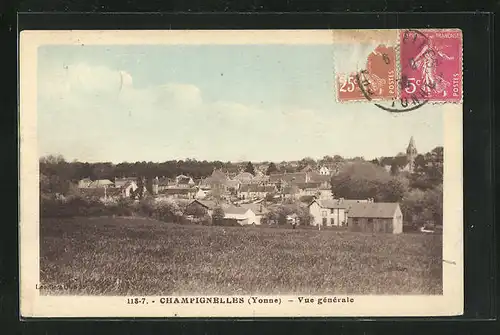 AK Champignelles, Ortsansicht mit Kirche und Häuser von Wiese aus