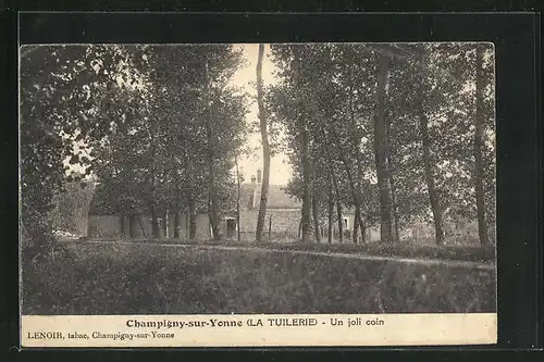 AK Champigny-sur-Yonne, Blick auf ein Haus aus einem Waldgebiet heraus