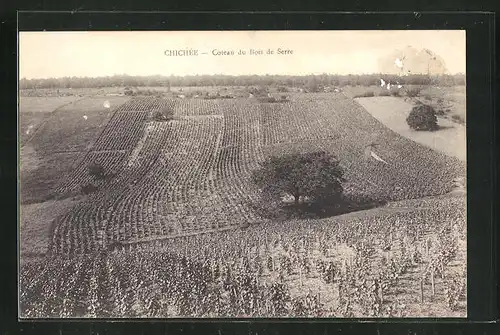 AK Chichee, Coteau du Bois de Serre