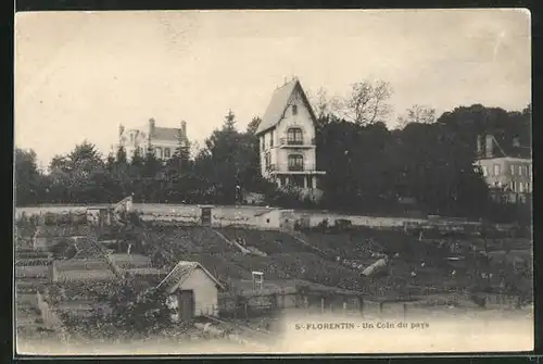 AK Saint-Florentin, Un Coin du Pays